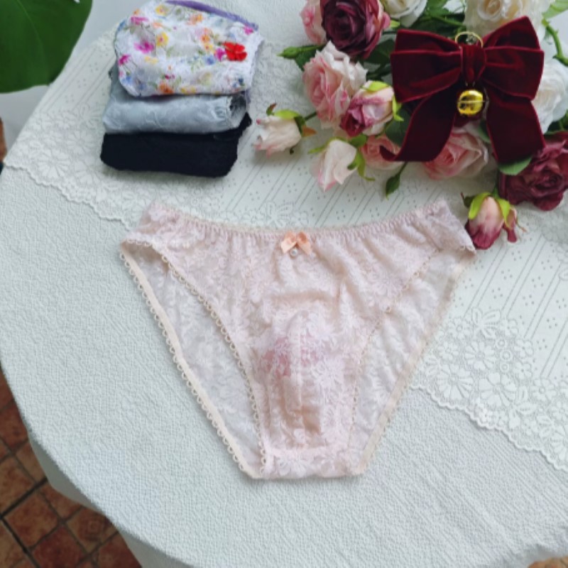 Culotte en dentelle transparen - Embroidery Lace avis et prix