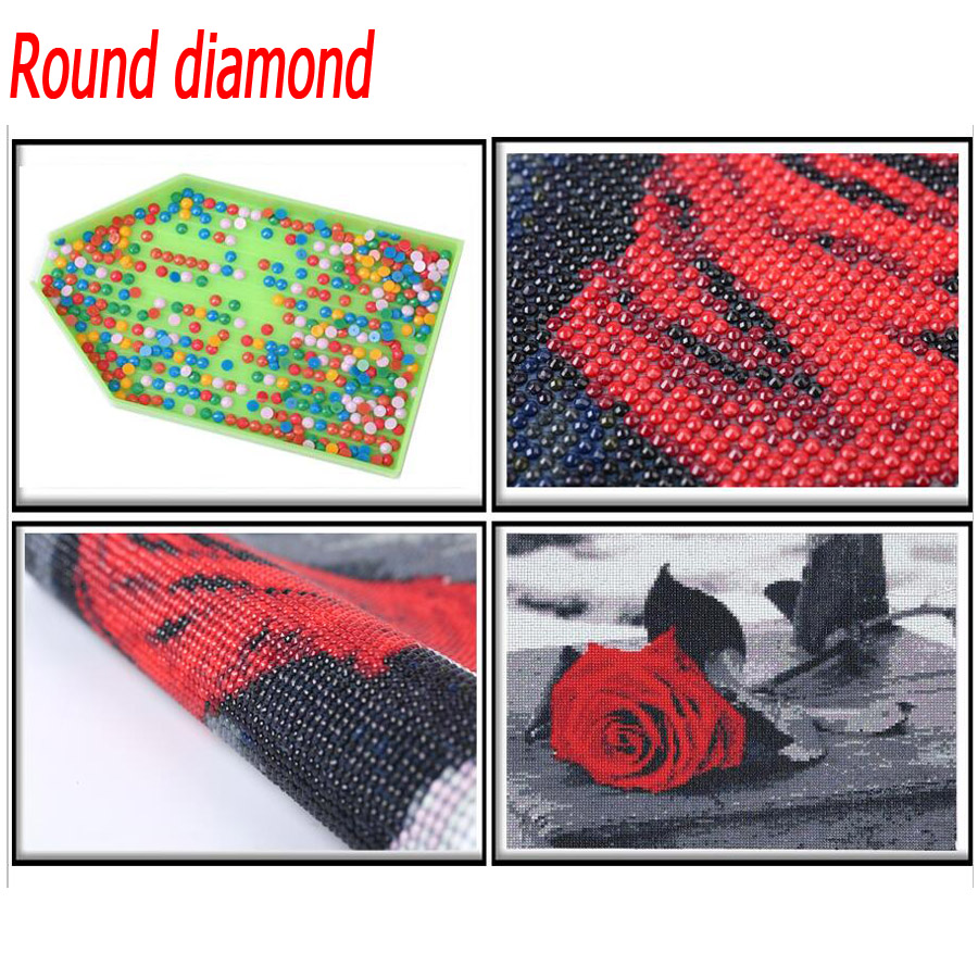 Peinture de diamant de prairie - Embroidery In Egypt avis et prix