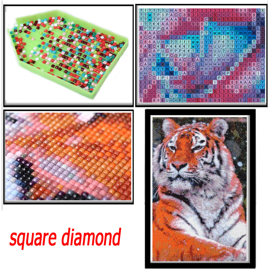 Peinture de diamant de prairie - Embroidery In Egypt avis et prix